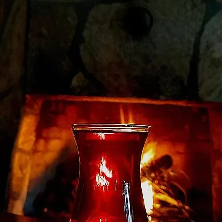 Ruya Çıralı